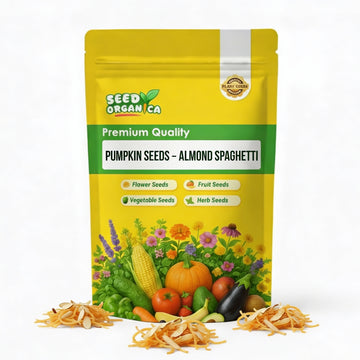 Pumpkin Seeds – Almond Spaghetti