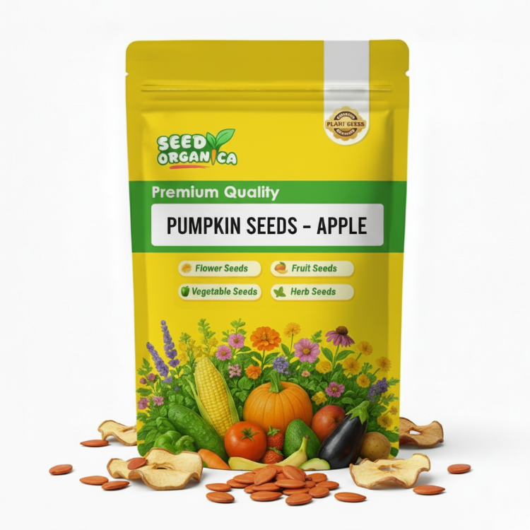 Pumpkin Seeds – Apple