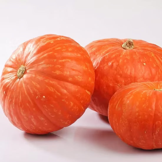 Pumpkin Seeds – Bright Red 