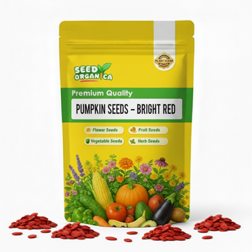 Pumpkin Seeds –  Bright Red