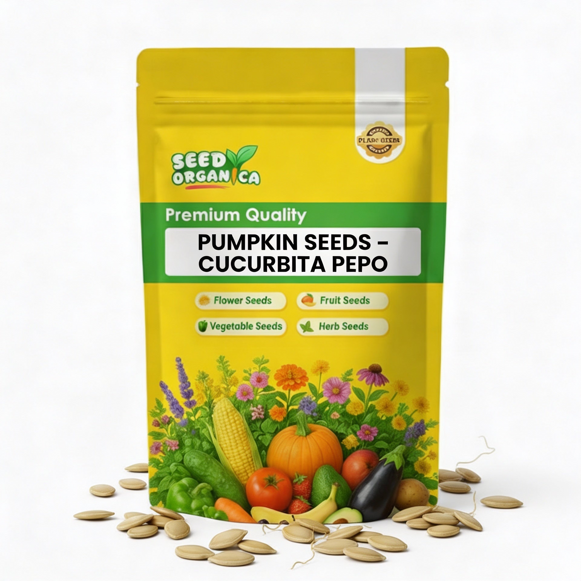 Pumpkin Seeds – Cucurbita Pepo