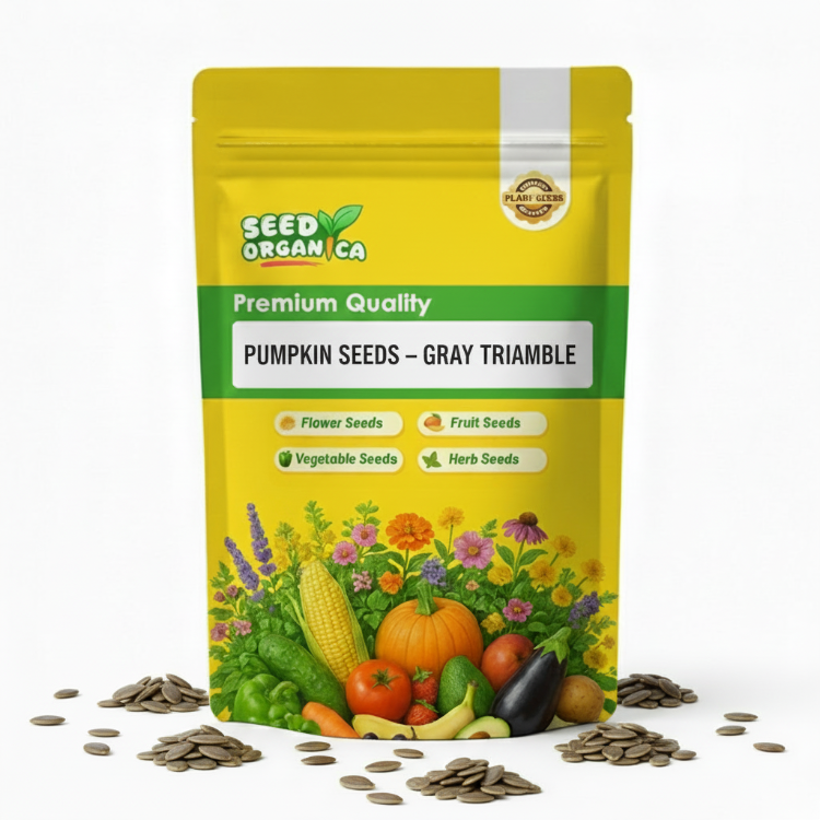 Pumpkin Seeds – Gray Triamble