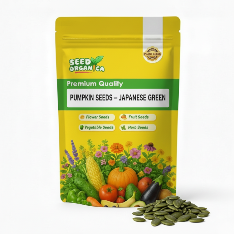 Pumpkin Seeds – Japanese Green