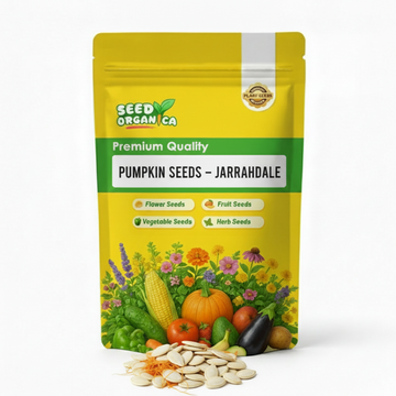 Pumpkin Seeds – Jarrahdale