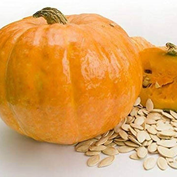 Pumpkin Seeds – Korean