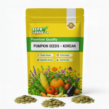 Pumpkin Seeds – Korean