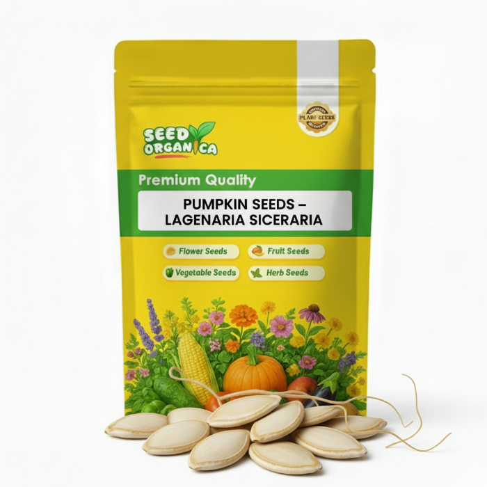 Pumpkin Seeds – Lagenaria Siceraria