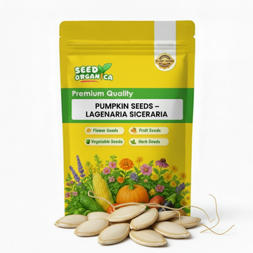 Pumpkin Seeds – Lagenaria Siceraria