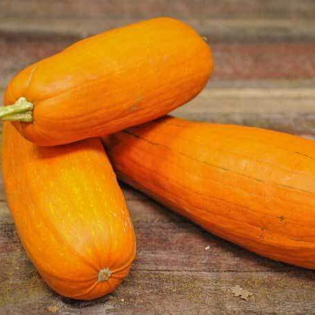 Pumpkin Seeds – Long Pie