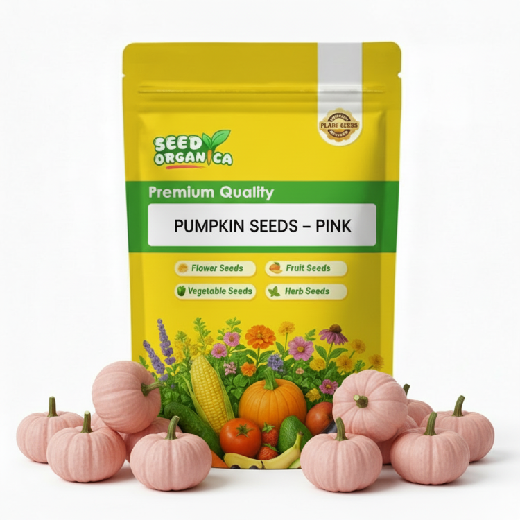 Pumpkin Seeds – Pink