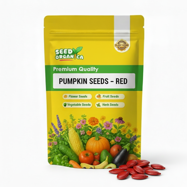 Pumpkin Seeds – Red