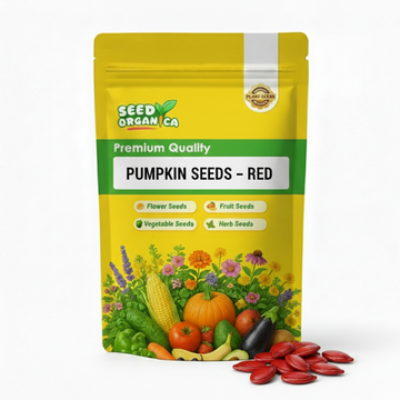 Pumpkin Seeds – Red