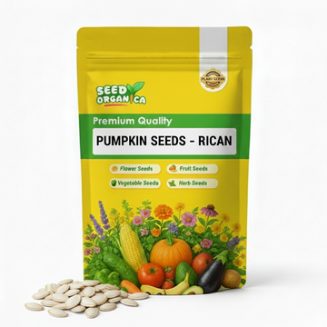 Pumpkin Seeds – Rican