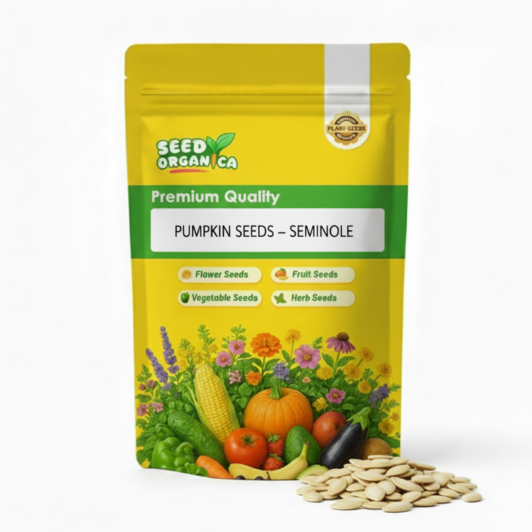 Pumpkin Seeds – Seminole