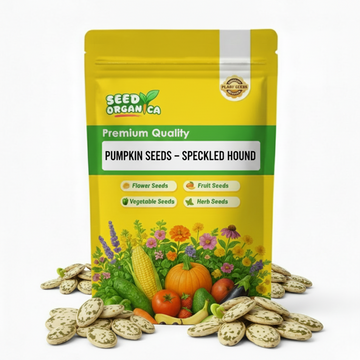 Pumpkin Seeds – Speckled Hound