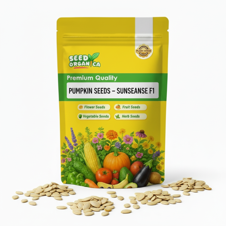 Pumpkin Seeds – Sunseanse F1