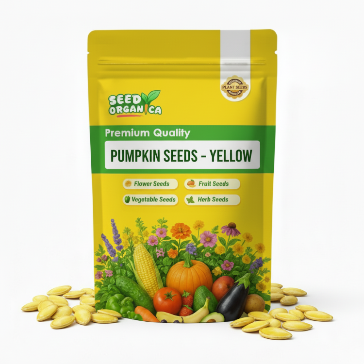 Pumpkin Seeds – Yellow