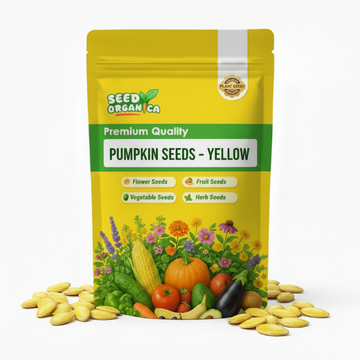Pumpkin Seeds – Yellow