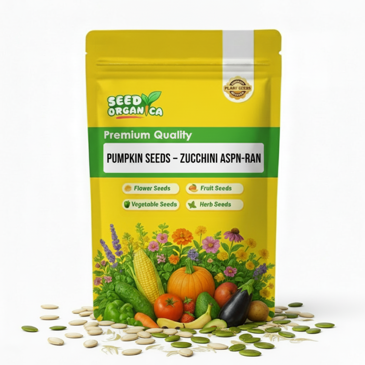 Pumpkin Seeds – Zucchini Aspn-RAN