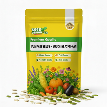 Pumpkin Seeds – Zucchini Aspn-RAN