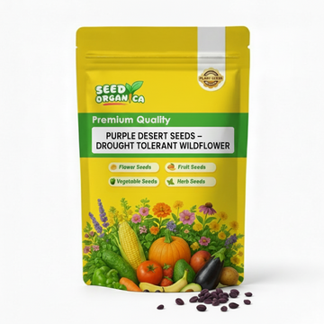 Purple Desert Seeds – Drought Tolerant Wildflower