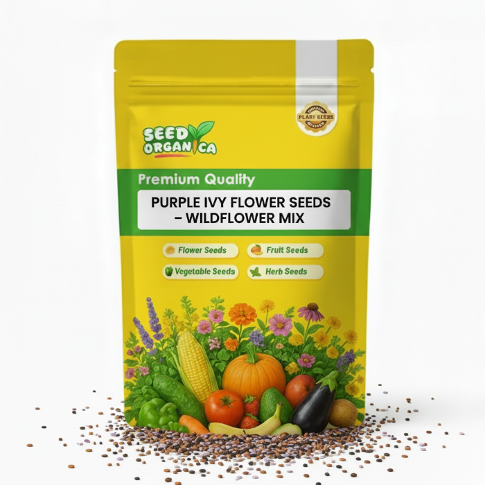Purple Ivy Flower Seeds – Wildflower Mix