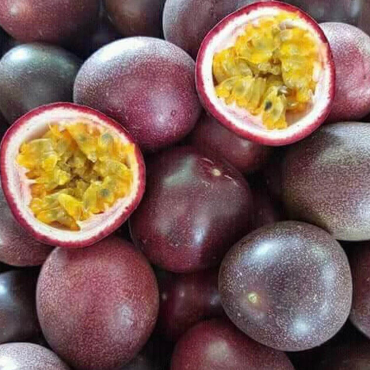 Purple Passion Fruit Seeds - Fruit Plant