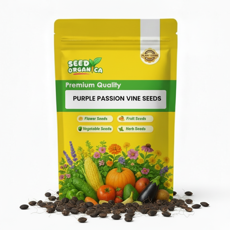 Purple Passion Vine Seeds