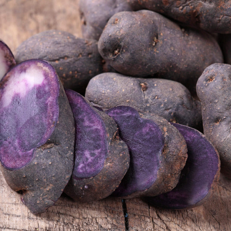 Purple Potato Seeds 