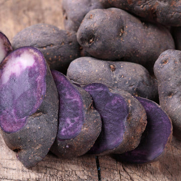 Purple Potato Seeds 