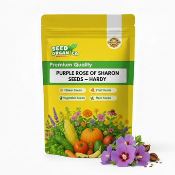 Purple Rose of Sharon Seeds – Hardy