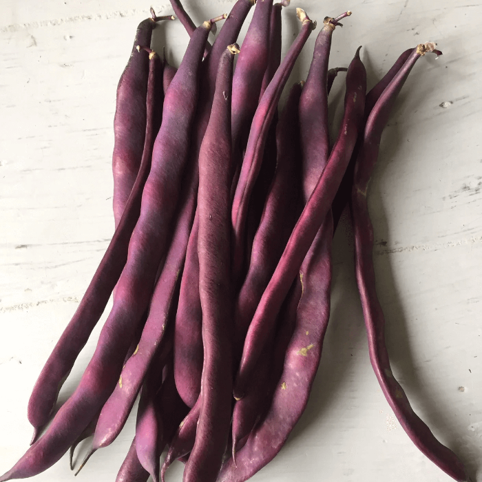 Purple Stallard Bean Seeds 