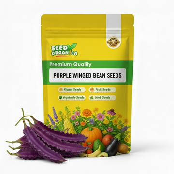 Purple Winged Bean Seeds