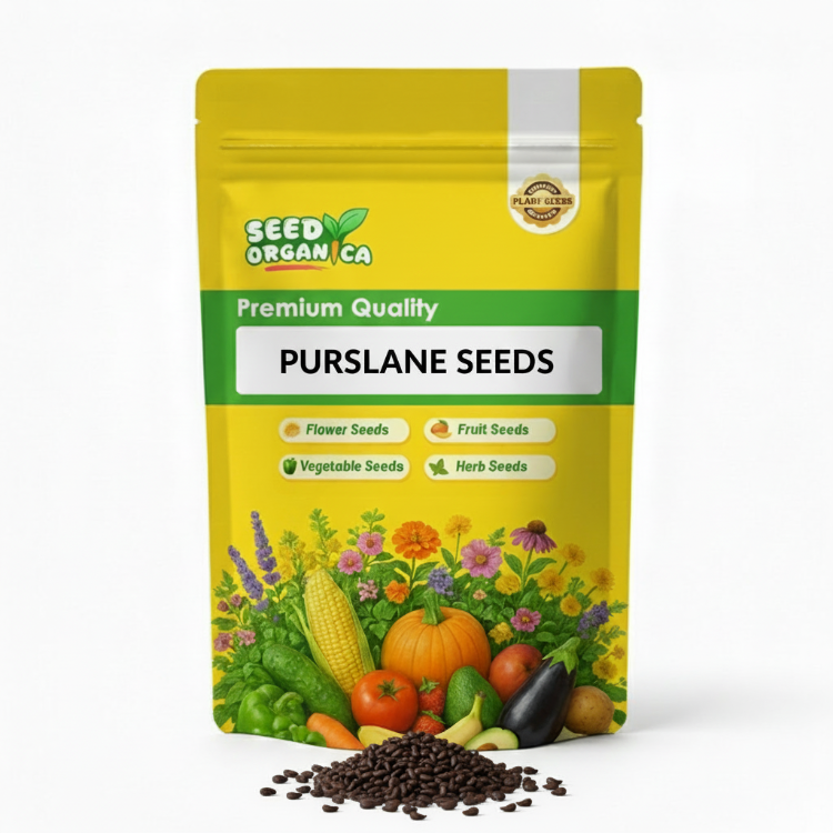Purslane Seeds