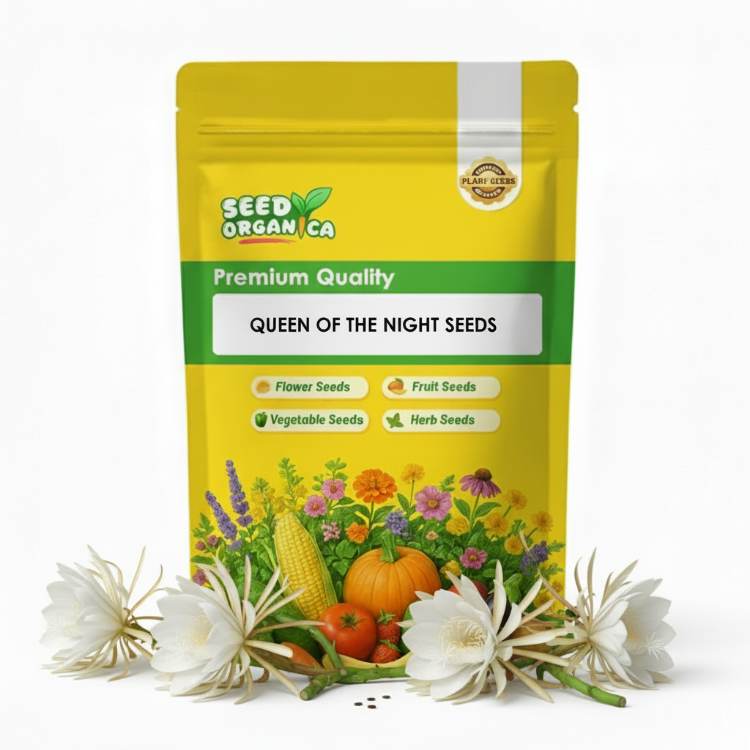 Queen of The Night Seeds