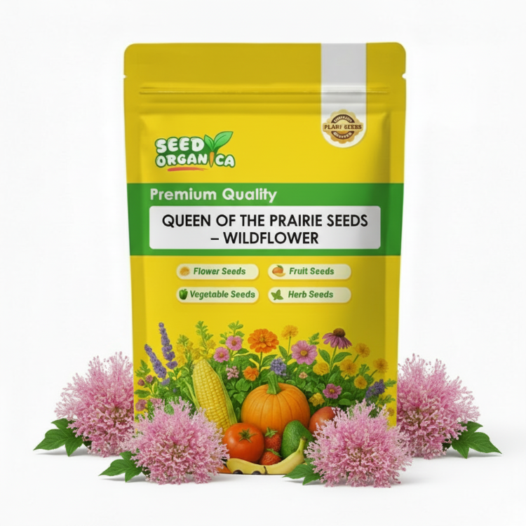 Queen of the Prairie Seeds – Wildflower