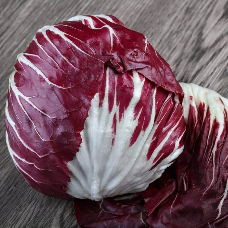 Radicchio Seeds 