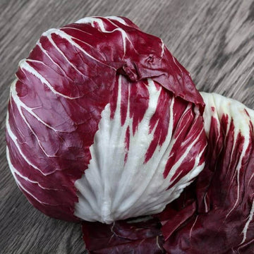 Radicchio Seeds 
