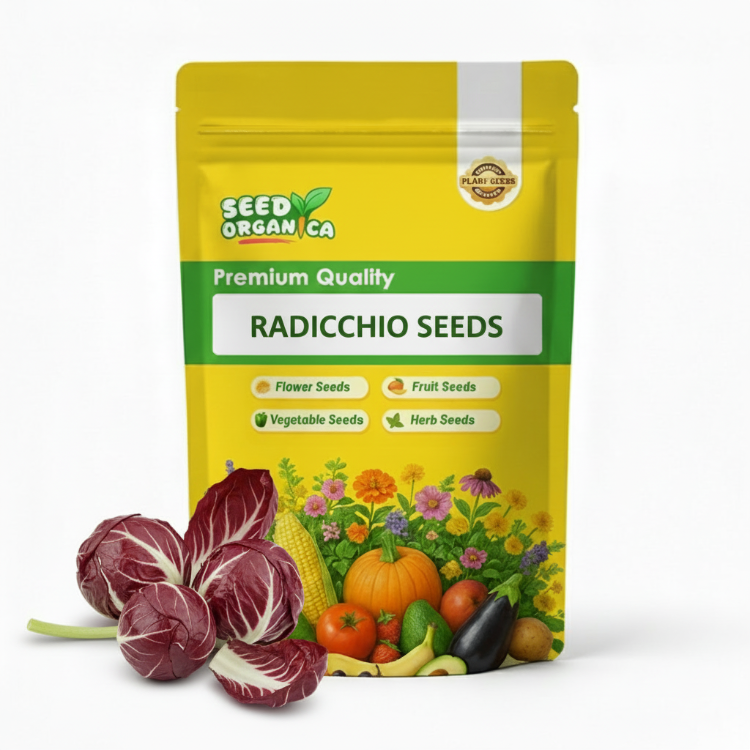 Radicchio Seeds