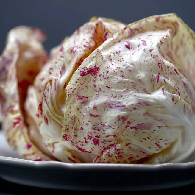 Radicchio Seeds - Castelfranco