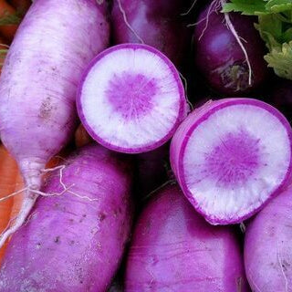 Radish Seeds - Purple
