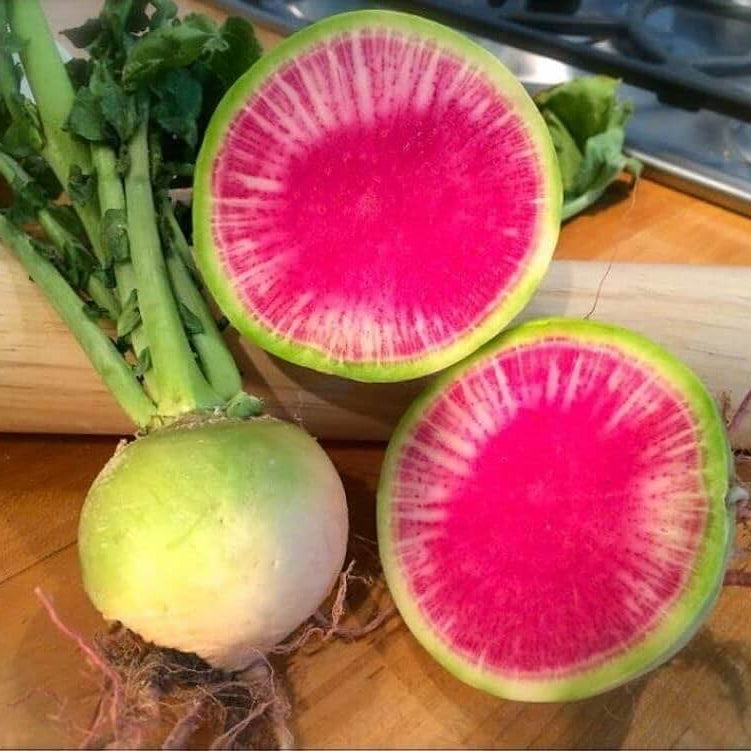 Radish Seeds - Starburst