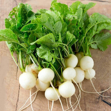 Radish Seeds – Hailstone