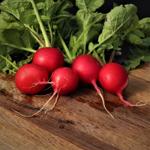 Radish Seeds – Meister