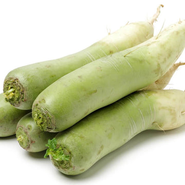 Radish Seeds – Pista Green