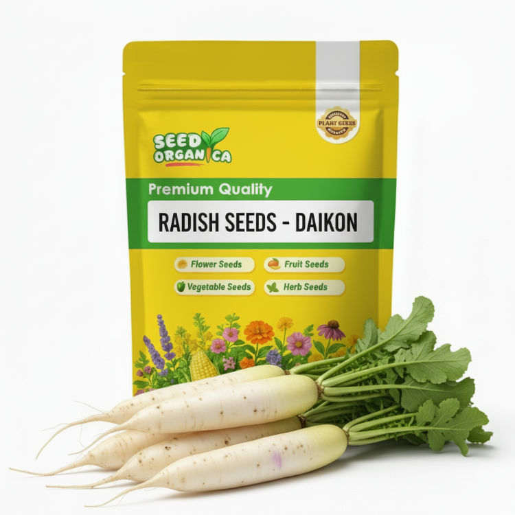 Radish Seeds - Daikon