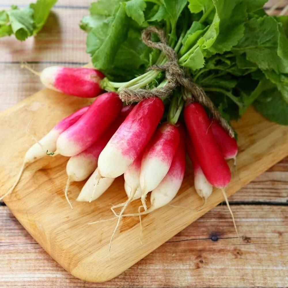 Radish Seeds - Mila