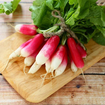Radish Seeds - Mila