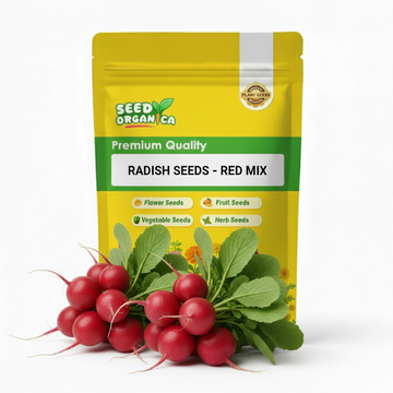 Radish Seeds - Red Mix