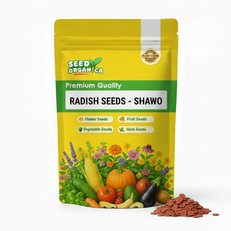 Radish Seeds - Shawo